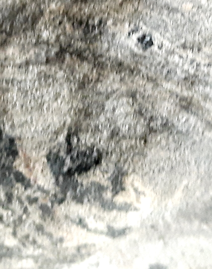 11.3